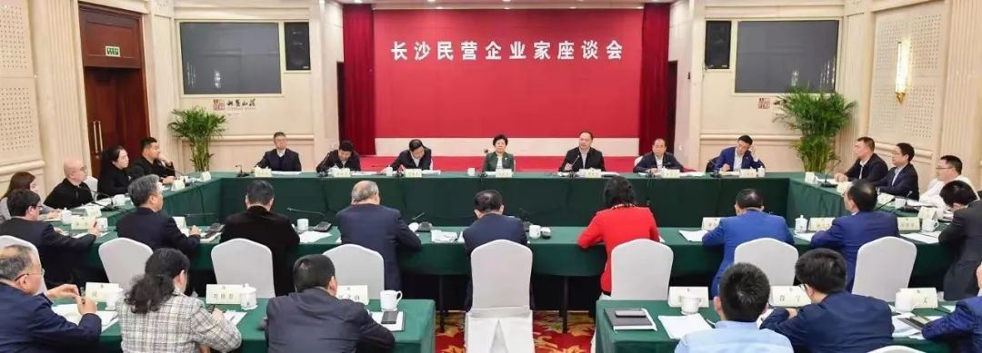 何清華參加長(cháng)沙民營(yíng)企業(yè)家座談會(huì )
