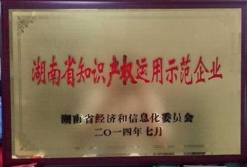 湖南省知識產(chǎn)權運用示范企業(yè)