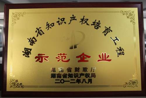 湖南省知識產(chǎn)權培育工程師范