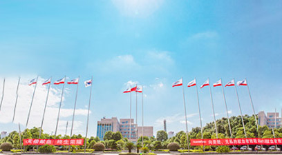 長(cháng)沙威沃機械制造有限公司