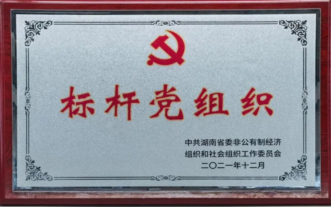 黨建品牌亮起來(lái)！山河智能黨委獲評“標桿黨組織”