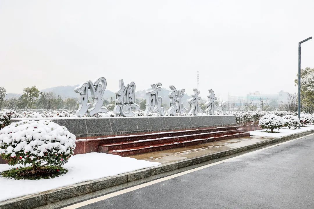 瑞雪兆豐年，邀您共賞雪中山河！