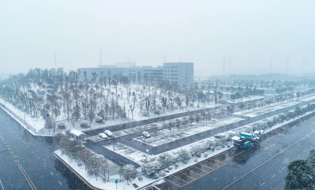 瑞雪兆豐年，邀您共賞雪中山河！